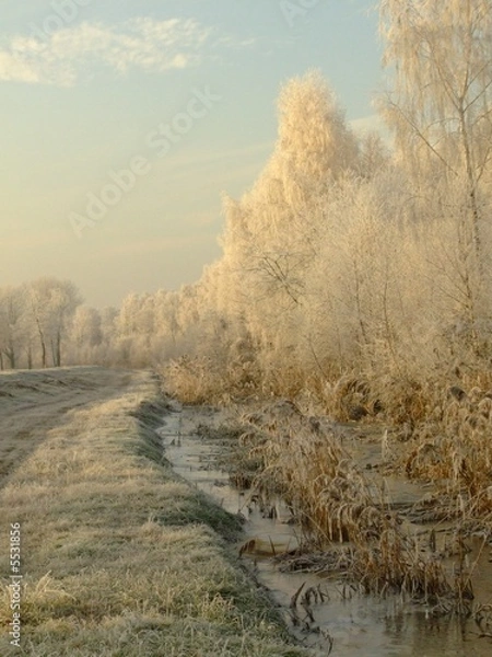Obraz Bernsteinsee 04