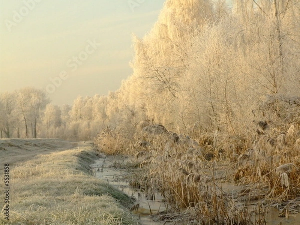 Obraz Bernsteinsee 03
