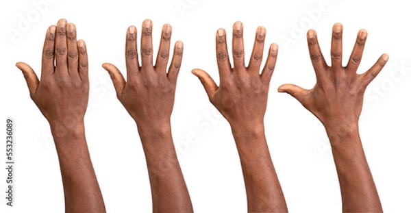 Fototapeta Hands up seen from the back isolated on white or transparent background	
