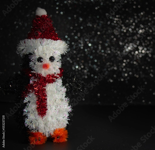 Obraz snowman in studio 