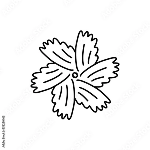 Fototapeta Vector Floral Outline
