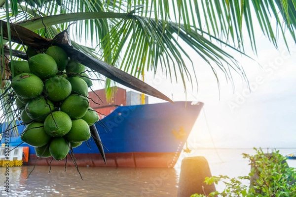 Fototapeta Cargo ship carrying merchandise through the Caribbean sea, coconuts is in the foreground