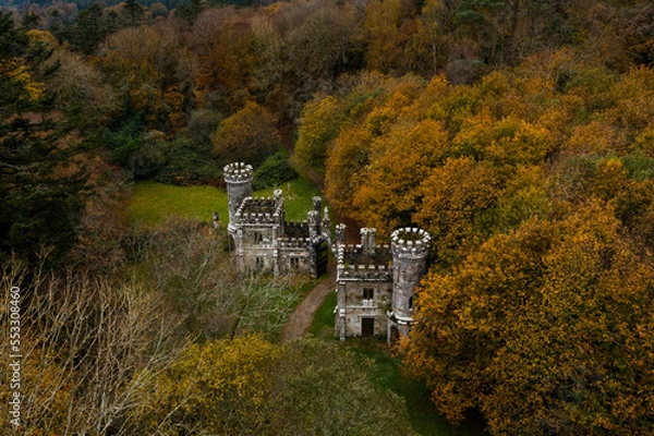 Obraz Aerial drone view of Ireland's Ballysaggartmore Towers . Medieval entrance in the forest, Lismore, County Waterford.