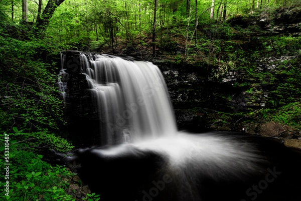 Obraz waterfall in the forest