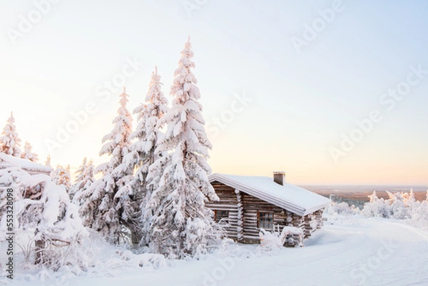 Obraz Winter landscape in Finland