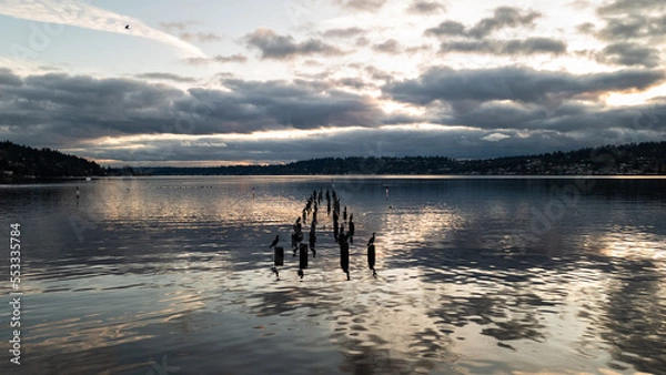 Obraz sunset over lake washington 