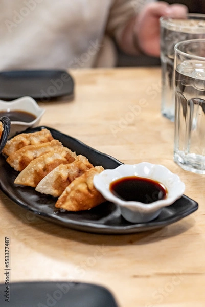 Obraz Gyoza