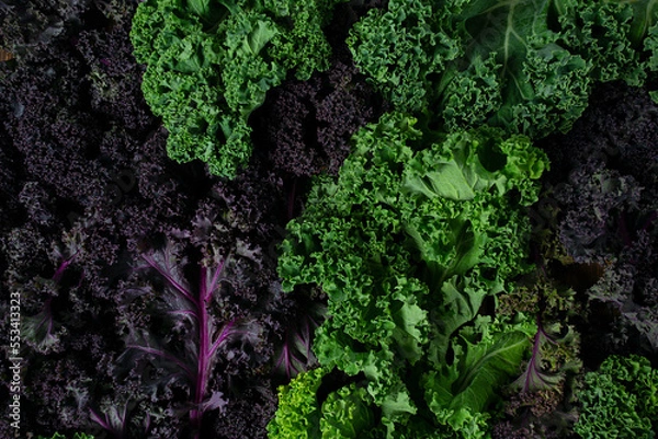 Obraz red and green kale on brown wooden surface