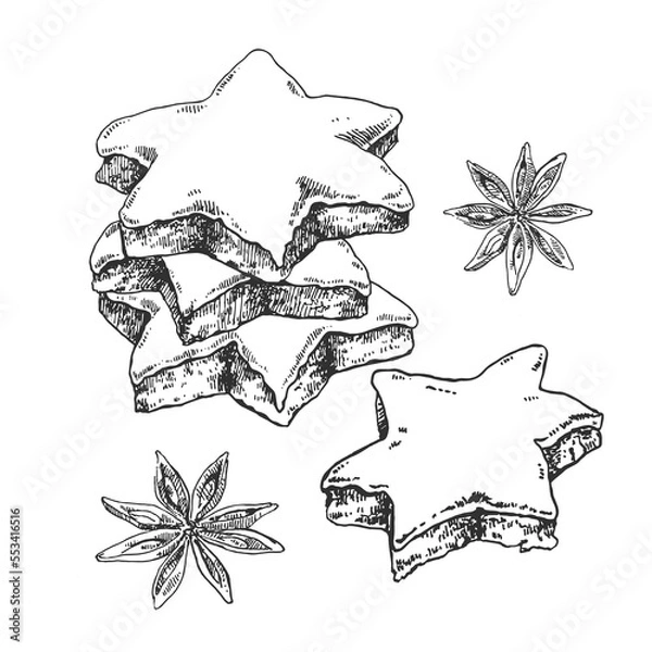 Obraz Hand drawn vector Zimtsterne illustration. Traditional Germany Christmas star cookies with almond and sugar. Sweet holiday dessert template for menu, ad, label design