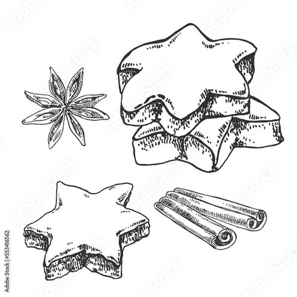 Obraz Hand drawn vector Zimtsterne illustration. Traditional Germany Christmas star cookies with almond and sugar. Sweet holiday dessert template for menu, ad, label design