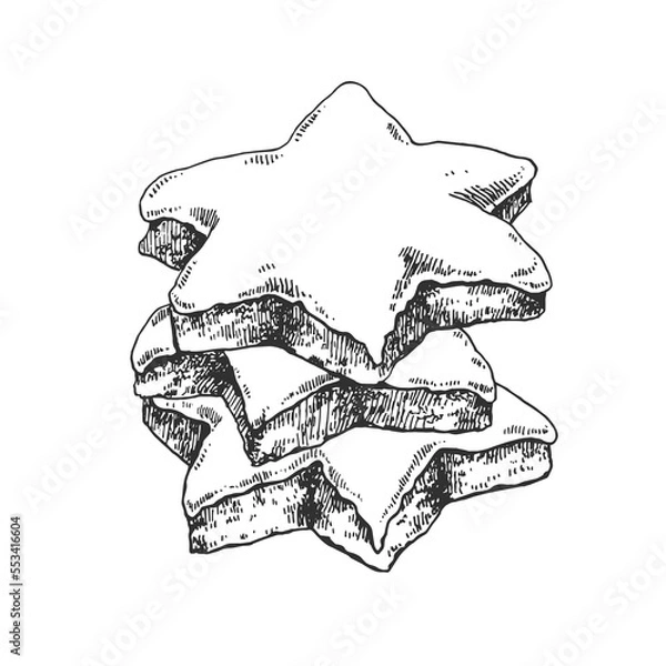 Obraz Hand drawn vector Zimtsterne illustration. Traditional Germany Christmas star cookies with almond and sugar. Sweet holiday dessert template for menu, ad, label design