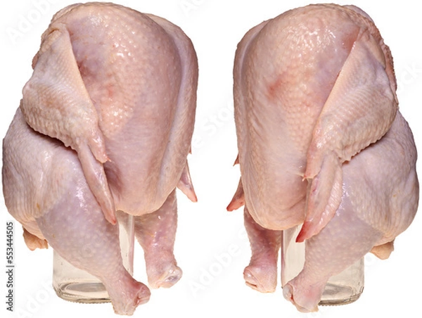 Fototapeta Chicken on a bottle. Raw chicken is dressed on a transparent glass bottle for baking in the oven.