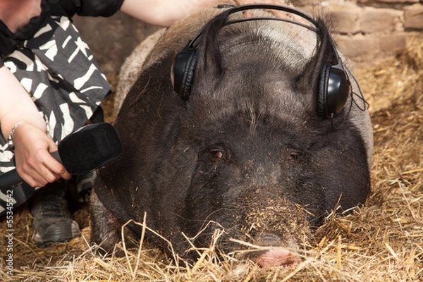 Fototapeta Interview