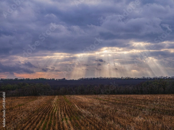 Fototapeta clouds over the field