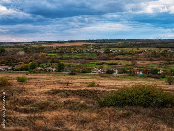 Fototapeta landscape with cows