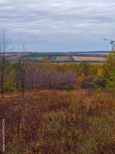 Fototapeta autumn landscape with trees