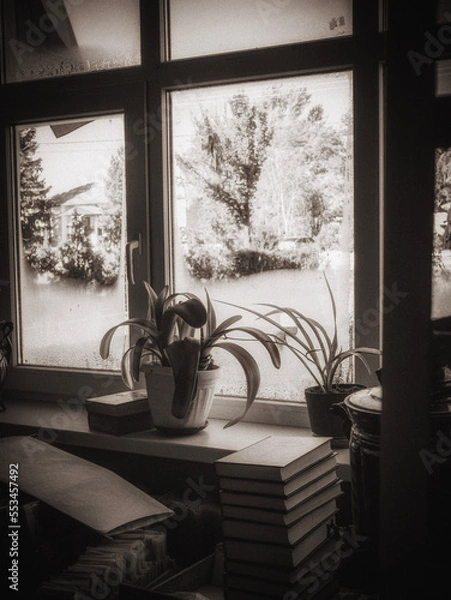 Fototapeta window in the morning