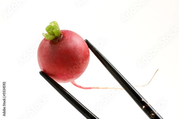 Fototapeta Fresh Radish held with black inlaid chopsticks