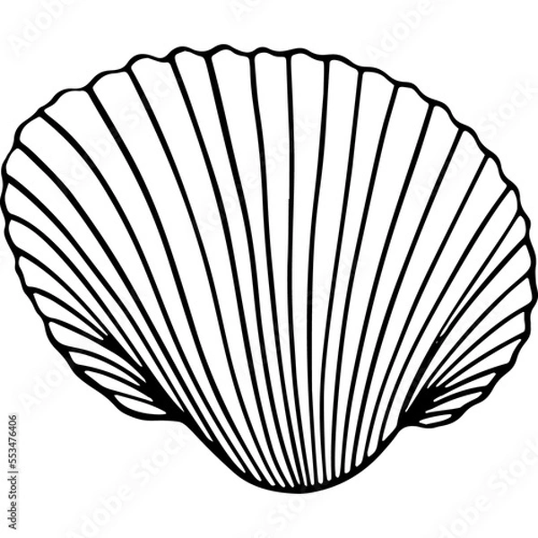 Obraz shell hand drawn icon