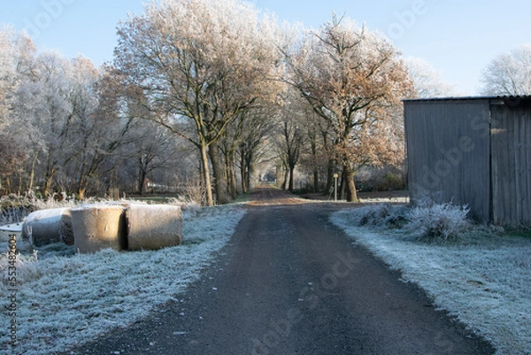 Obraz snow covered road
