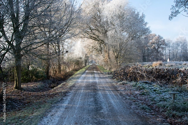 Obraz road in winter