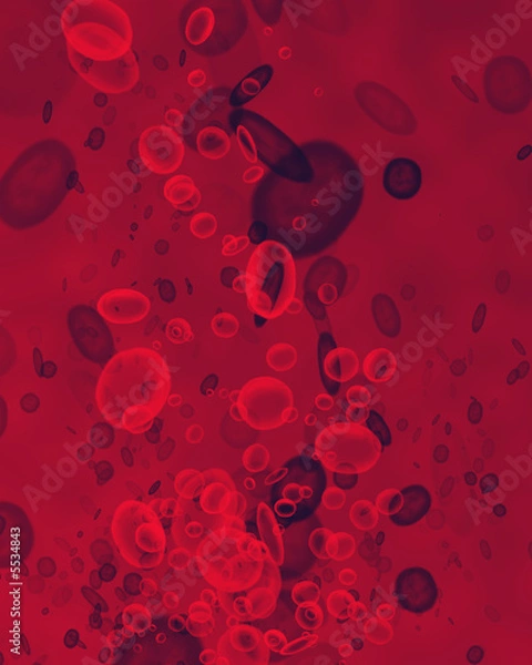 Obraz Red blood cells