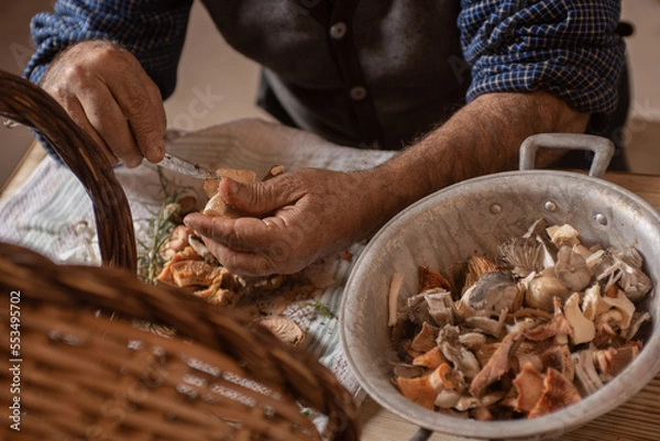 Fototapeta detail of old man's hands cleaning mushrooms with knife, basket with dirty and clean mushrooms cut in a sieve