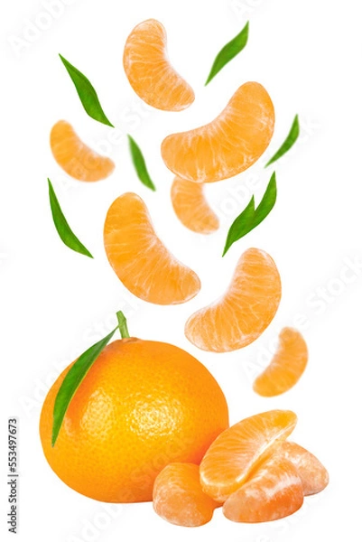 Fototapeta Levitation of tangerines and leaves isolated on a transparent background.