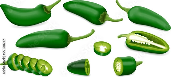 Fototapeta Set with whole, half, quarter, slices, and wedges of Green Jalapeno chili peppers. Jalapeno. Capsicum annuum. Chili pepper. Vegetables. Vector illustration isolated on white background.