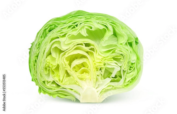 Fototapeta レタスのイラスト 断面 リアル