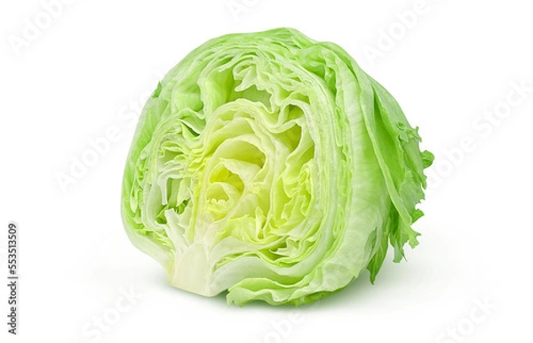 Fototapeta レタスのイラスト 断面 リアル
