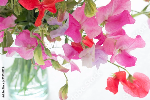 Fototapeta Wickenstrauß