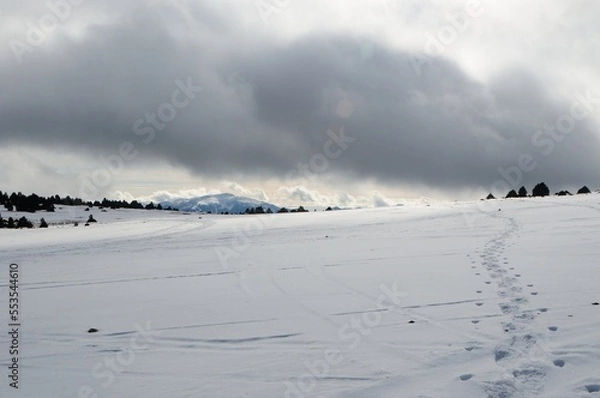 Obraz Snow field 01
