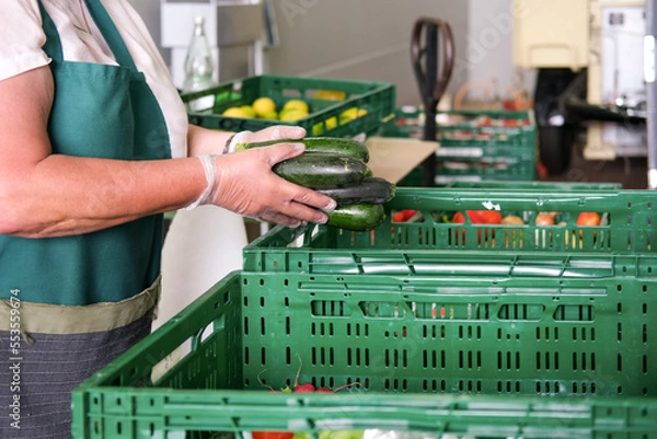 Fototapeta Lebensmittelspende Tafel: Ehrenamtliche Frau mit Handschuhen packt Obst und Gemüse wie frische Zucchini in grüne Kisten für die Verteilung an Bedürftige - selektiver Fokus