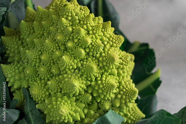 Obraz Romanesco broccoli on gray background