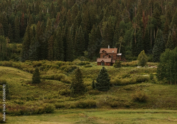 Obraz Lone cabin on a mountainside