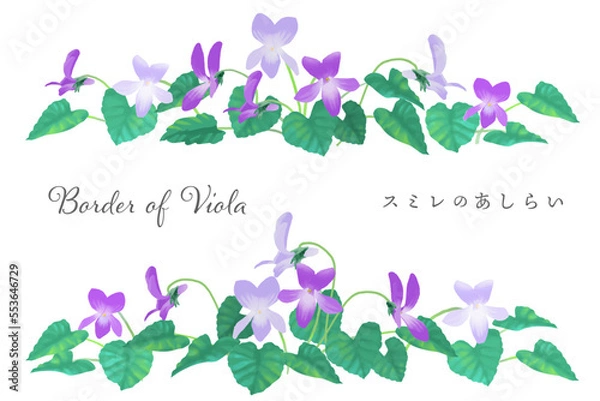 Obraz 春らしい スミレの花のボーダー ベクターイラスト  水彩風
