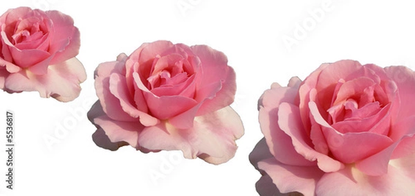 Fototapeta décoration