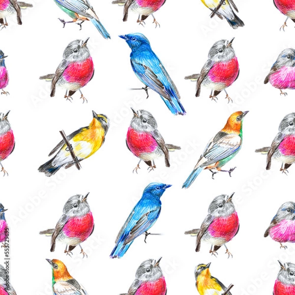 Fototapeta Seamless potter with drawings of multi-colored birds on the white background
