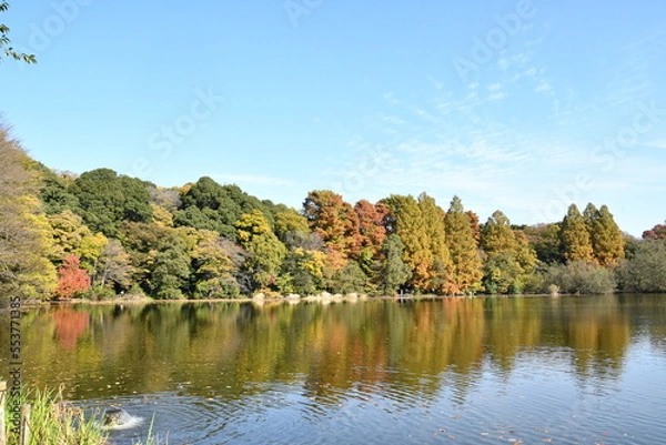Obraz 公園