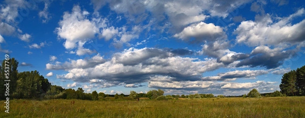Obraz Field with clouds