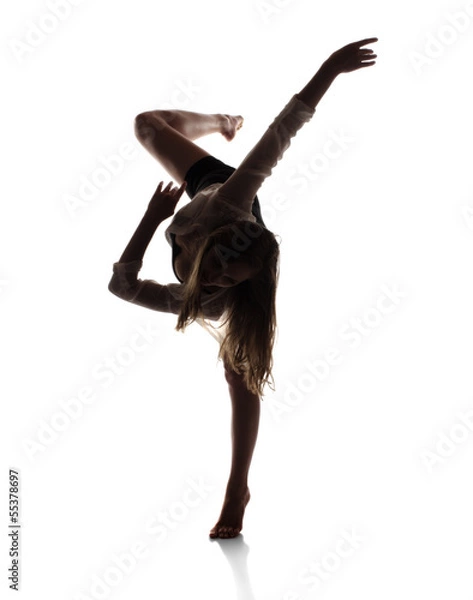 Obraz Beautiful female dancer