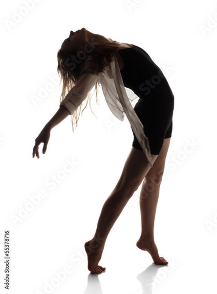 Obraz Beautiful female dancer