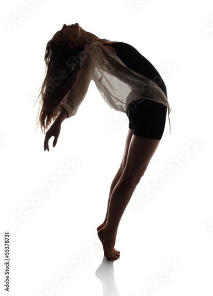 Obraz Beautiful female dancer