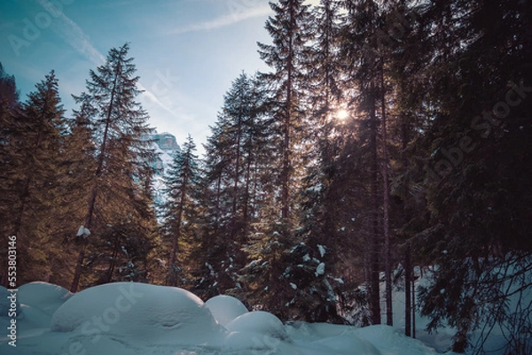 Obraz bosco innevato