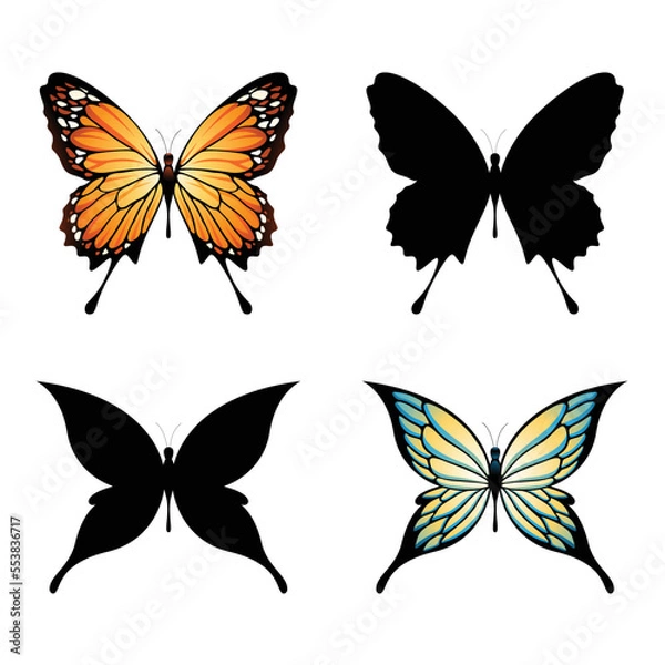 Fototapeta Colorful Butterflies and Butterfly Silhouettes