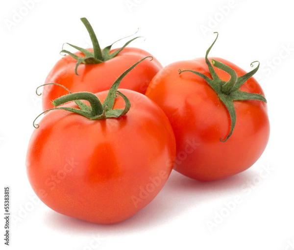Obraz Tomato vegetables isolated on white background