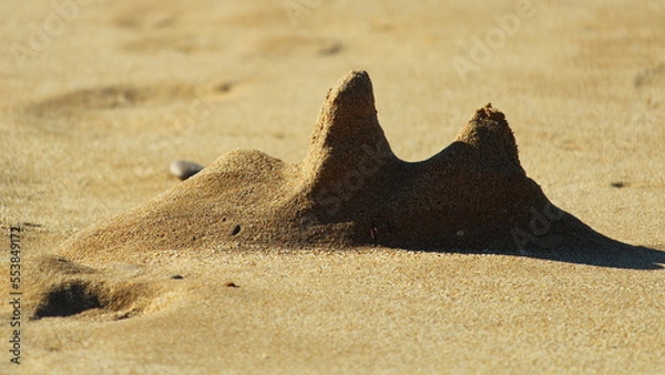 Obraz sandy abstract random figure on the beach