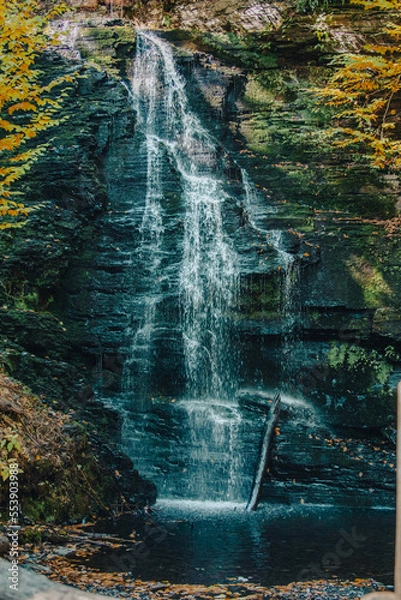 Obraz waterfall in the park