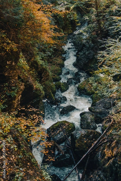 Obraz waterfall in the mountains